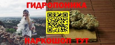ECSTASY Можга